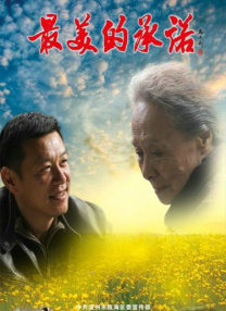 强行挺进赵丽颖的后臀网站